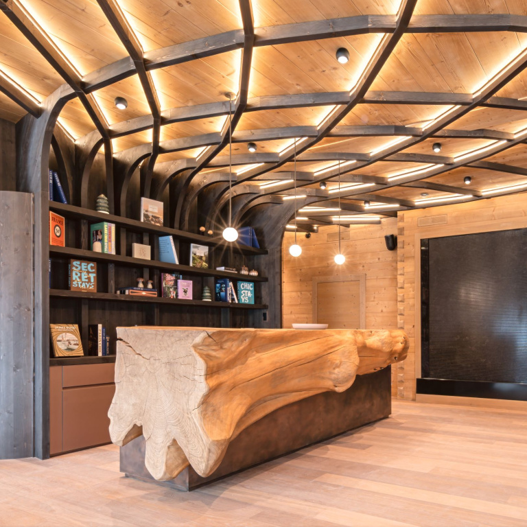 Interior design for restaurant Ambrozijn