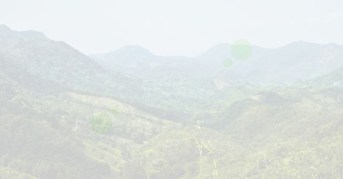 Image showcasing Making Sustainable Home Repairs - Boots On the Roof